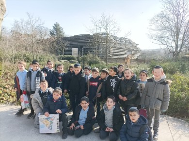 WhatsApp Image 2023-03-03 at 14.56.44