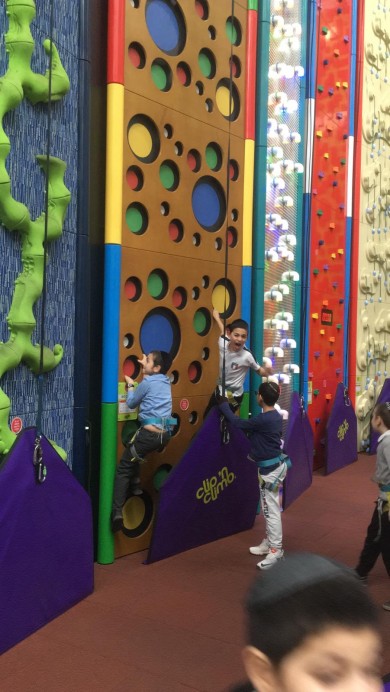 WhatsApp Image 2019-02-19 at 20.19.22