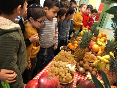 WhatsApp Image 2020-02-10 at 19.12.56