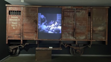 WhatsApp Image 2021-11-19 at 10.57.00