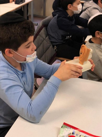 WhatsApp Image 2021-02-02 at 11.42.48