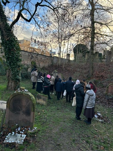 WhatsApp Image 2023-01-15 at 17.28.22