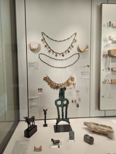 WhatsApp Image 2023-02-20 at 18.50.35