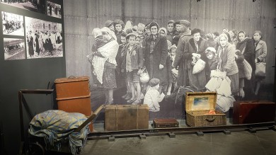 WhatsApp Image 2021-11-19 at 10.56.49