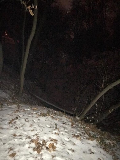 WhatsApp Image 2018-11-26 at 10.19.52