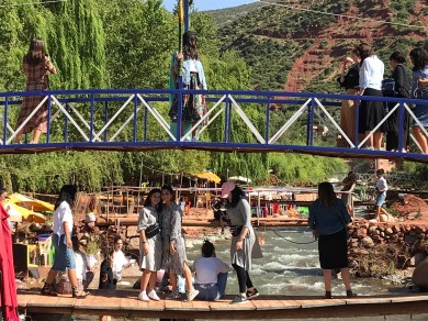 WhatsApp Image 2019-05-15 at 19.45.42