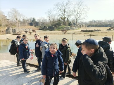 WhatsApp Image 2023-03-03 at 14.56.44 (1)