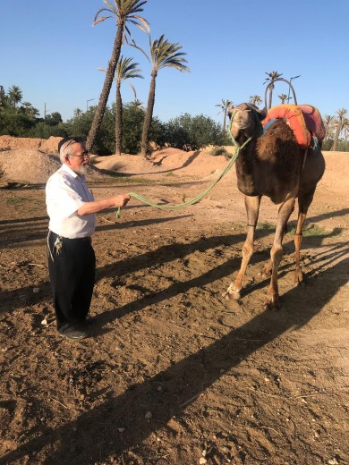 WhatsApp Image 2019-05-16 at 11.21.28 (1)