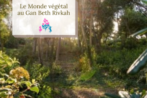 projet au Gan Beth Rivkah