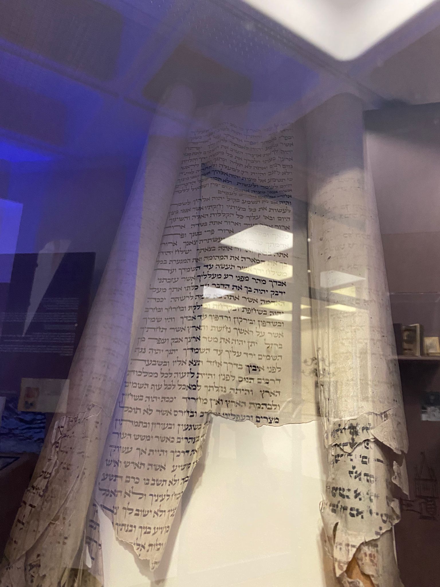 WhatsApp Image 2025-12-03 at 13.14.42 (8)