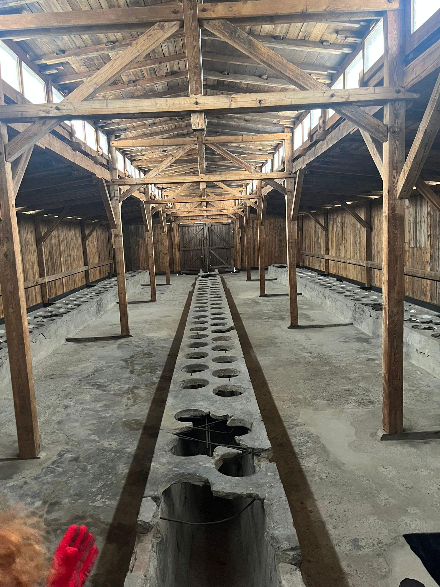 WhatsApp Image 2025-12-04 at 11.21.17