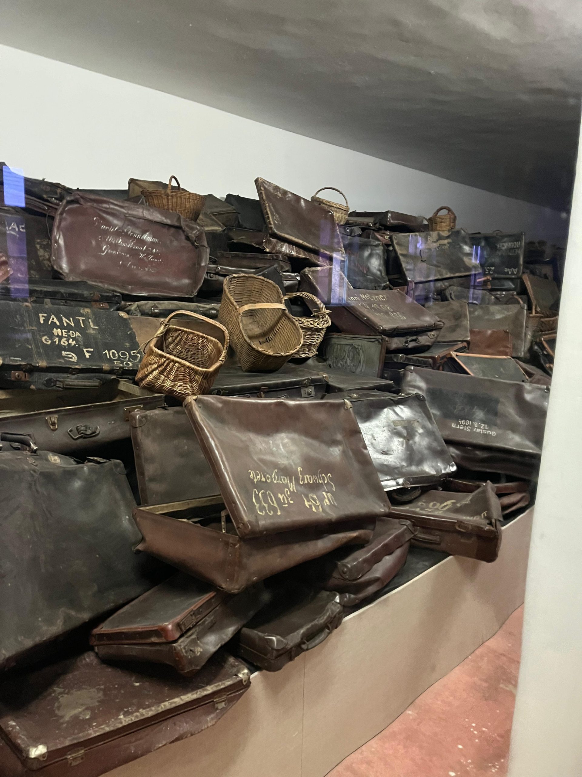 WhatsApp Image 2025-12-04 at 11.28.17 (1)