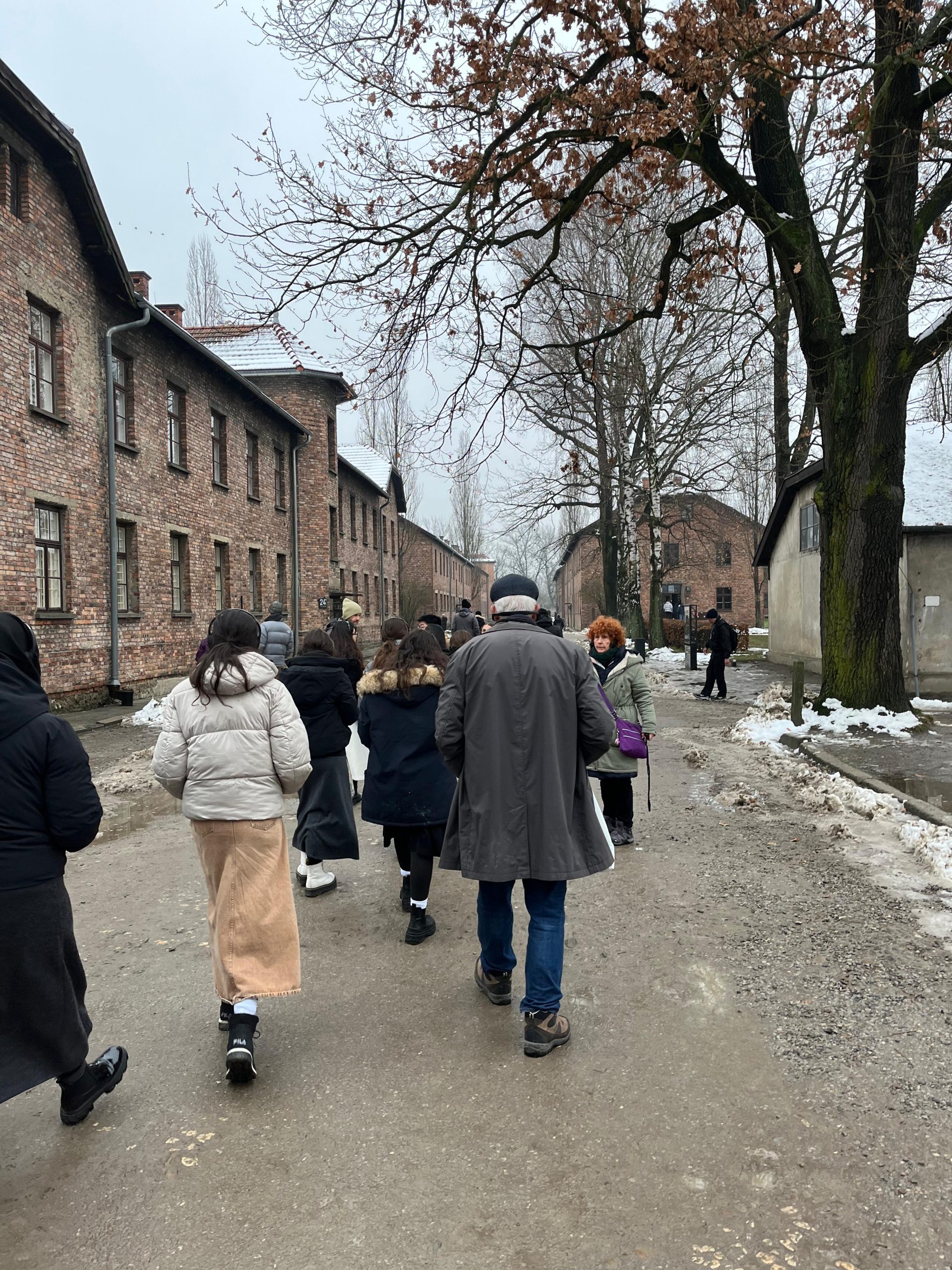 WhatsApp Image 2025-12-04 at 11.28.18