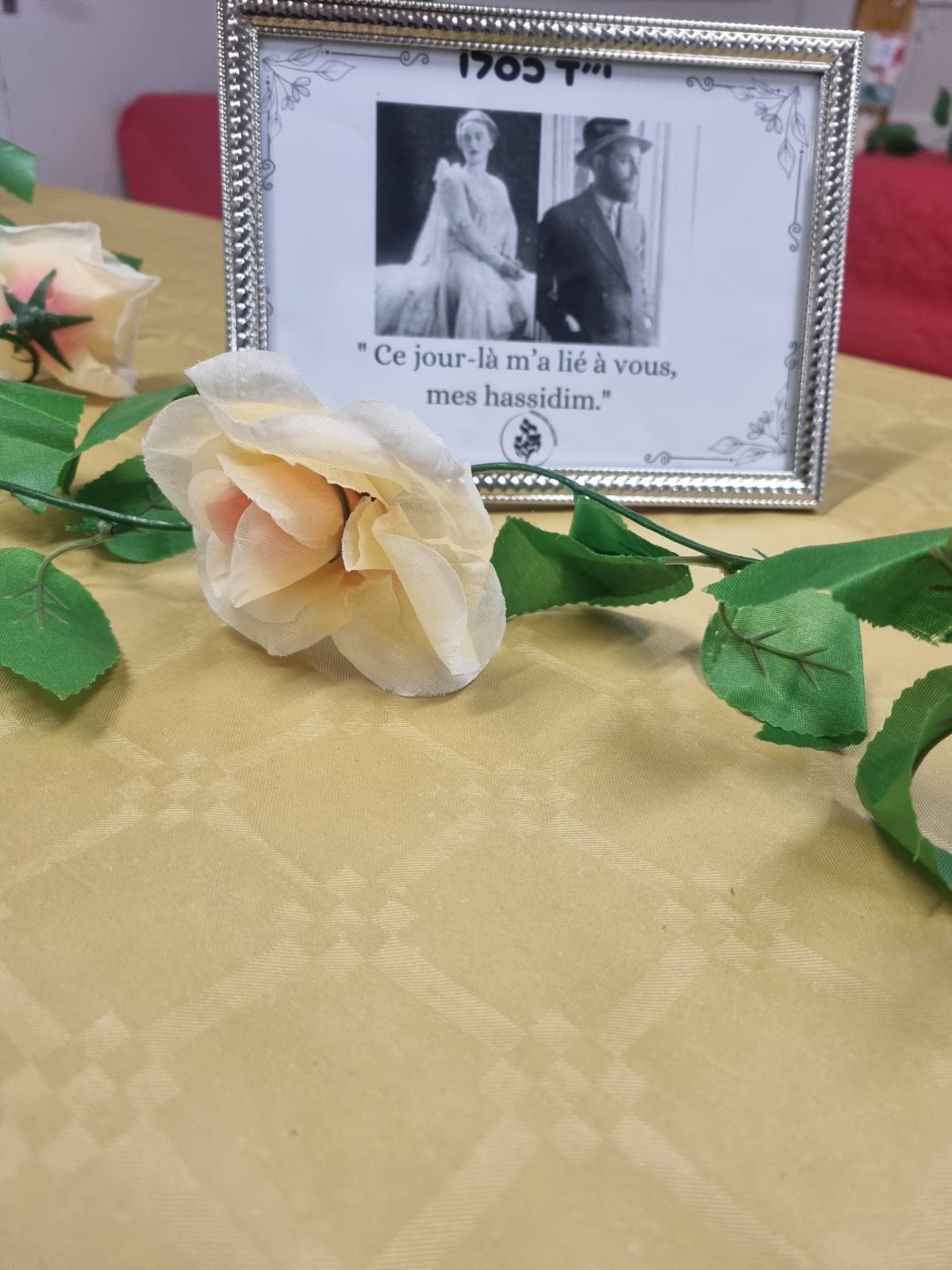 WhatsApp Image 2025-12-04 at 15.00.50 (1)