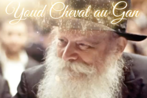 Capture d’écran, le 2026-01-29 à 10.31.20