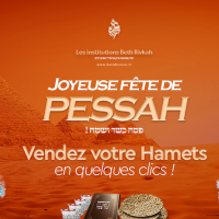 Pessa’h Cacher VeSamea’h 5786 – Vente de Hamets